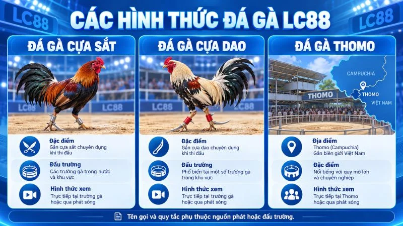 Các hình thức Đá Gà LC88 gồm cựa sắt cựa dao và Thomo